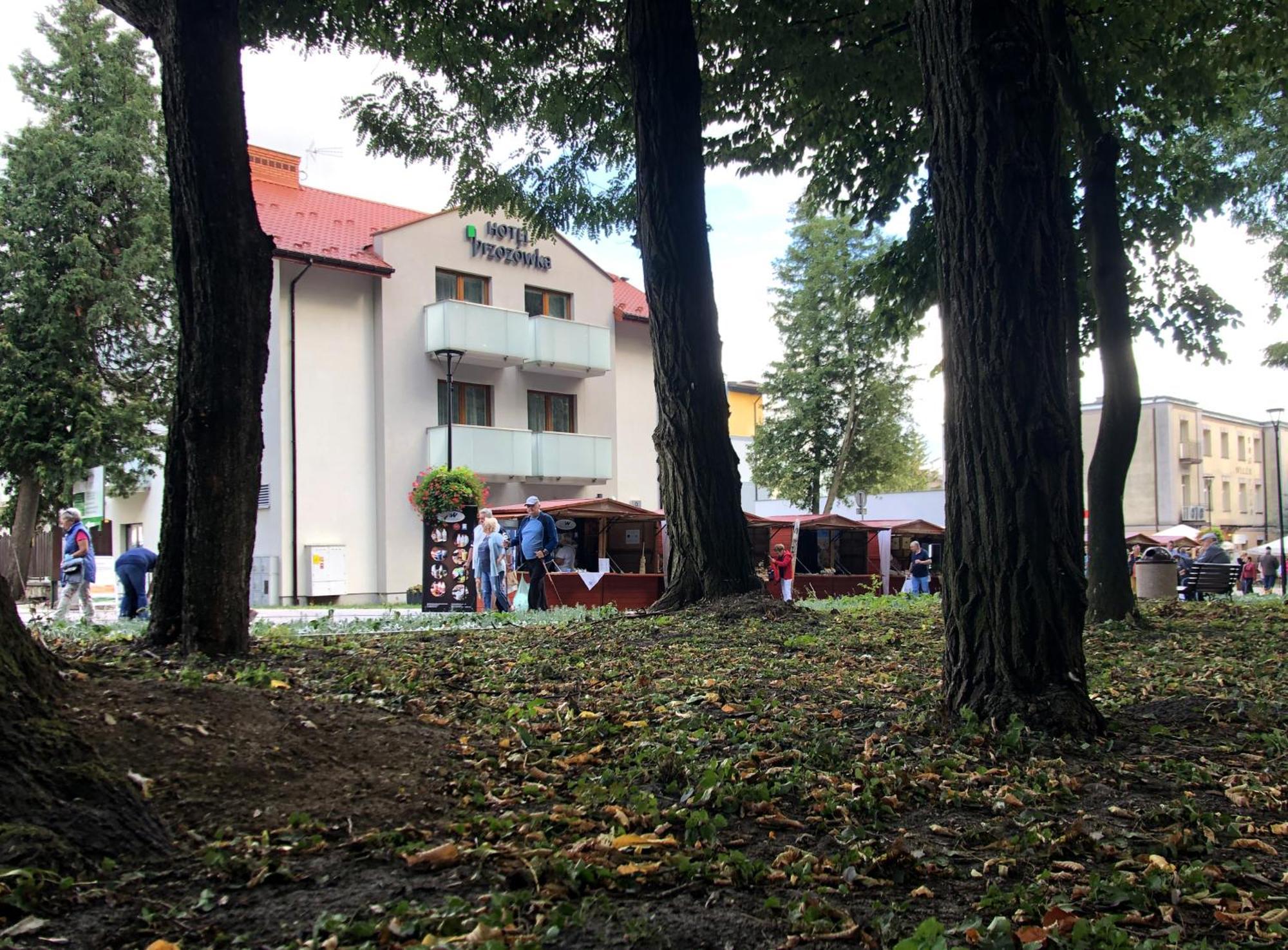 בוסקו זדרוי Hotel Brzozowka מראה חיצוני תמונה